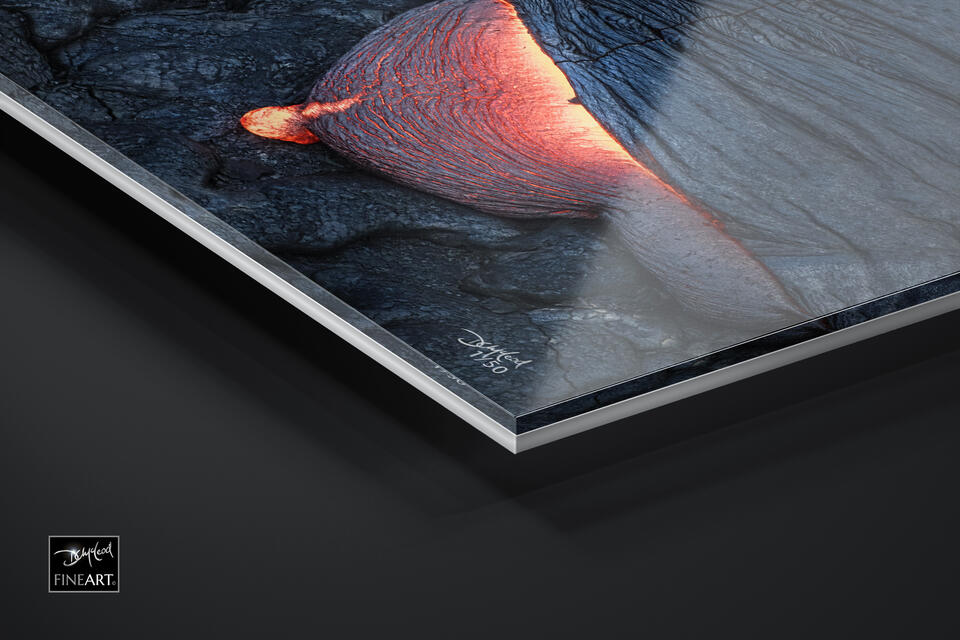  print preview