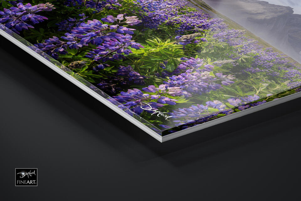 print preview