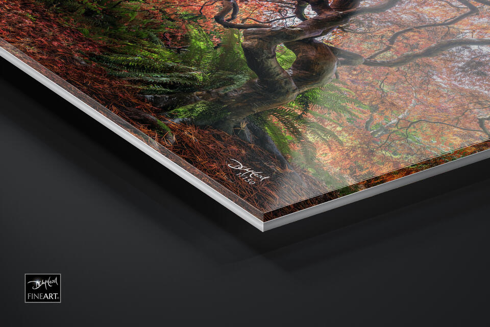 print preview