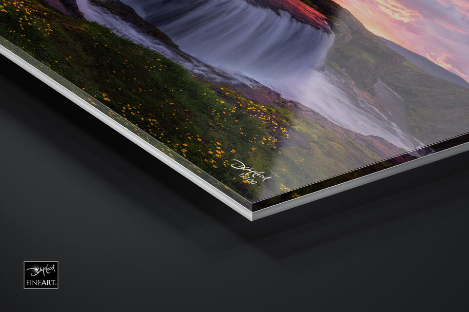  print preview