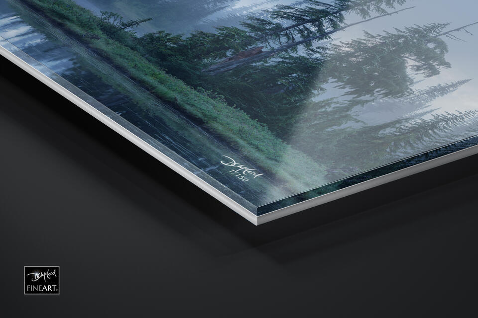 print preview
