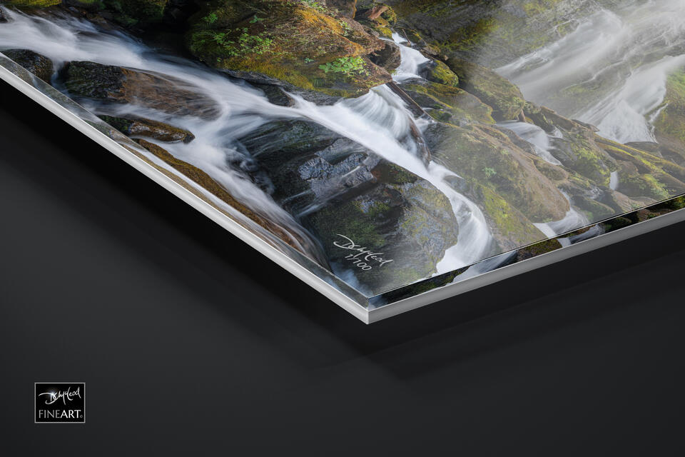 print preview