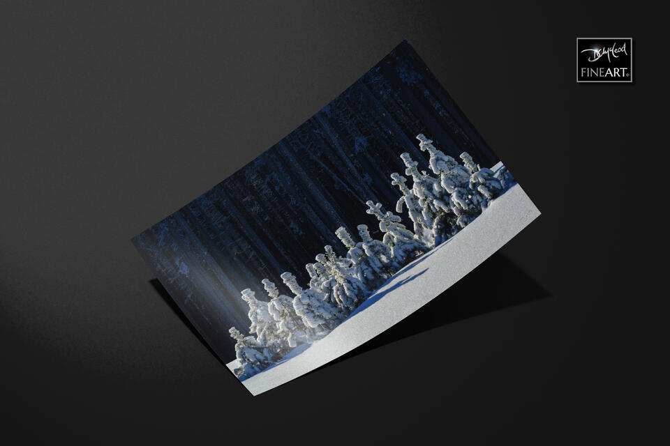 print preview