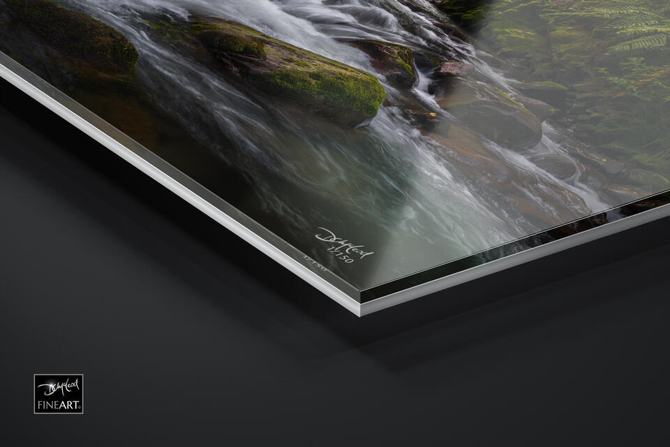 print preview
