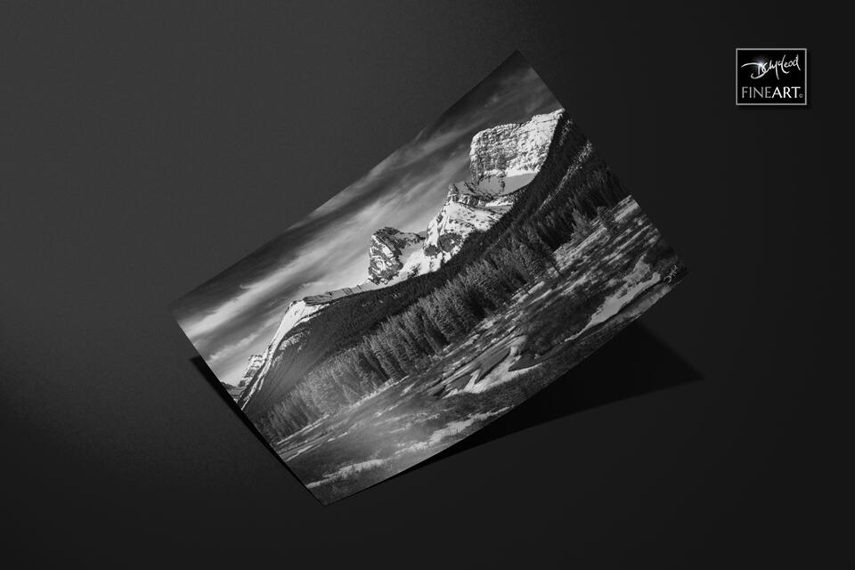  print preview