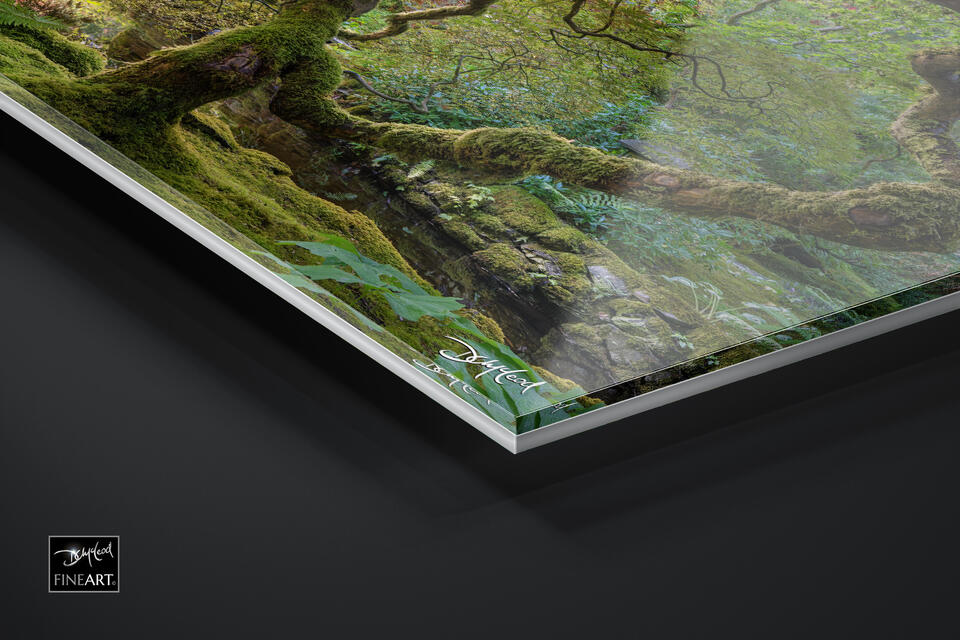 print preview