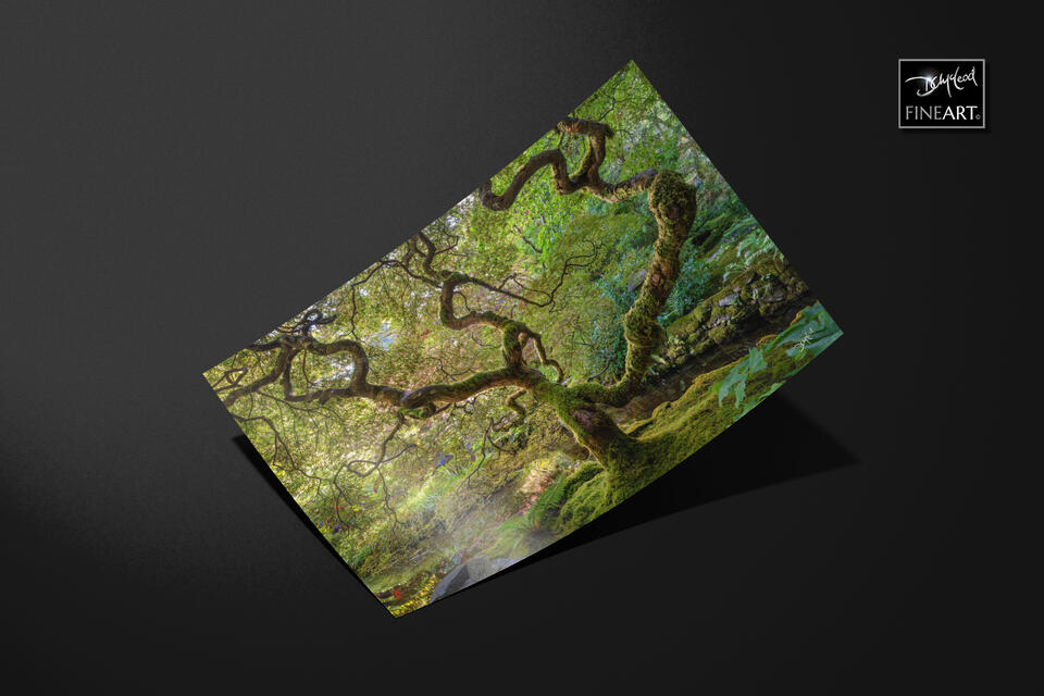print preview