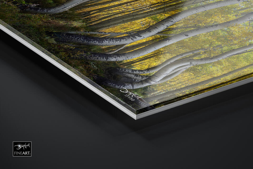print preview