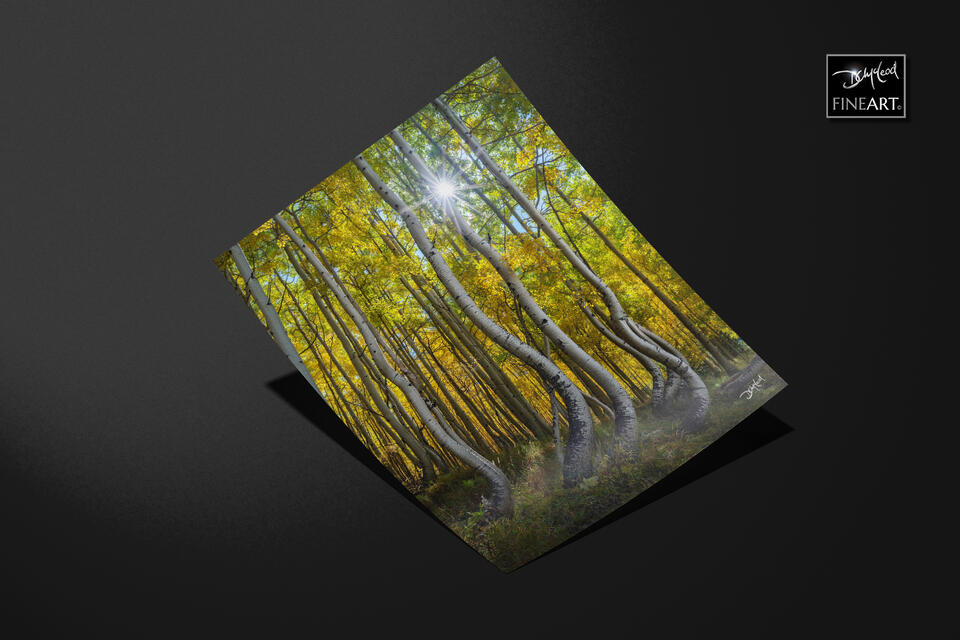  print preview