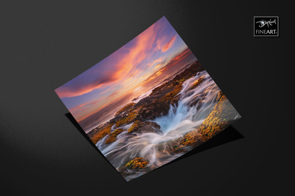  print preview