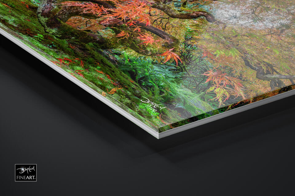  print preview