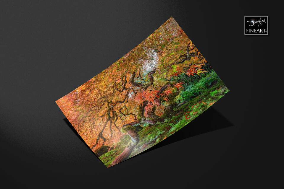  print preview