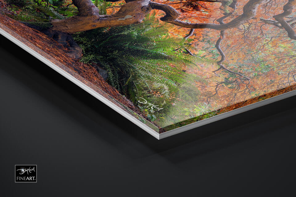 print preview