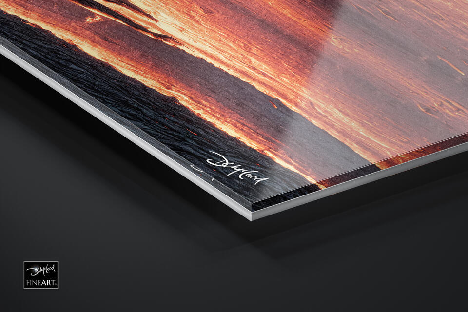 print preview