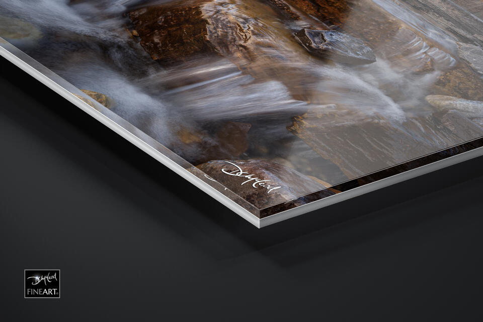 print preview