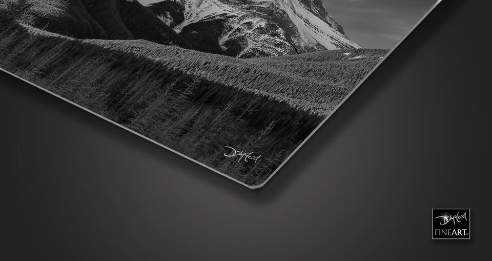print preview