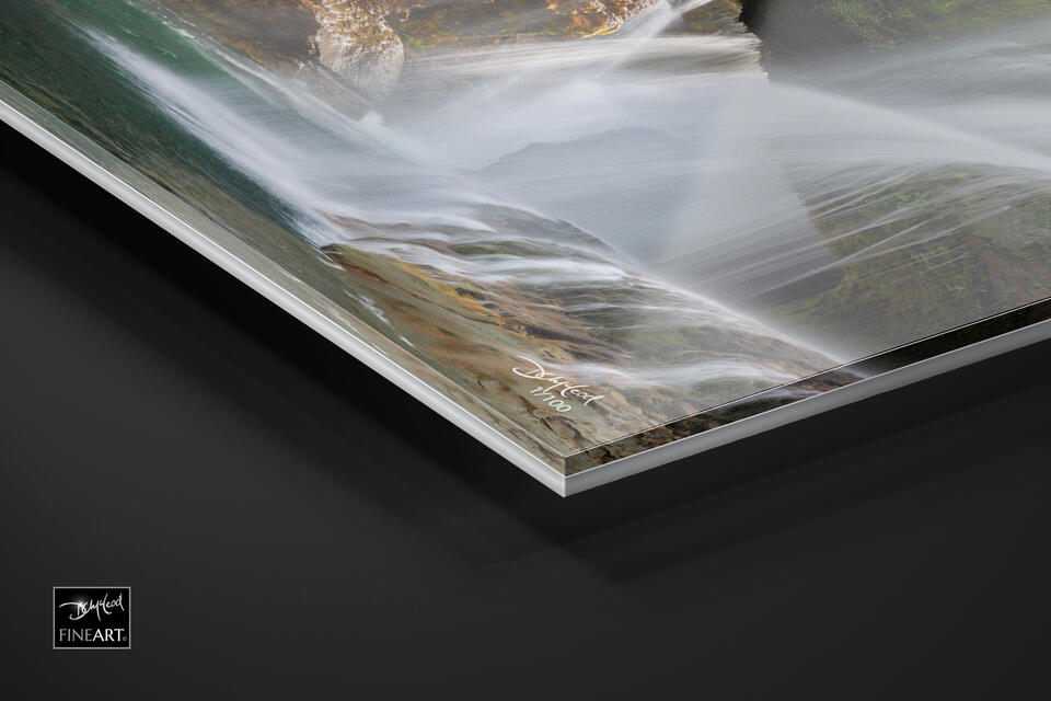  print preview