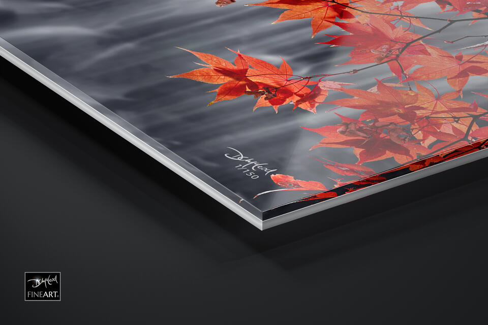 print preview
