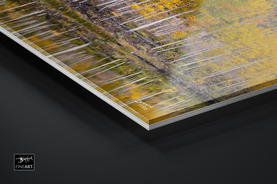 print preview