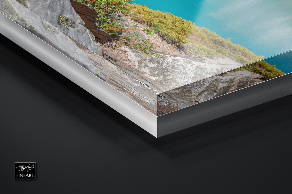  print preview