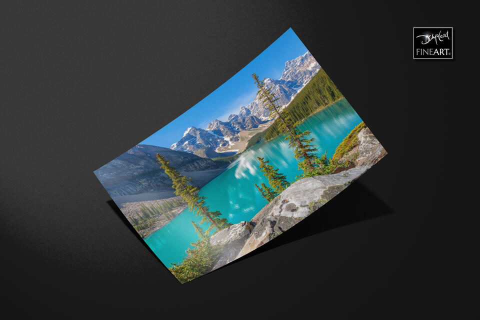  print preview
