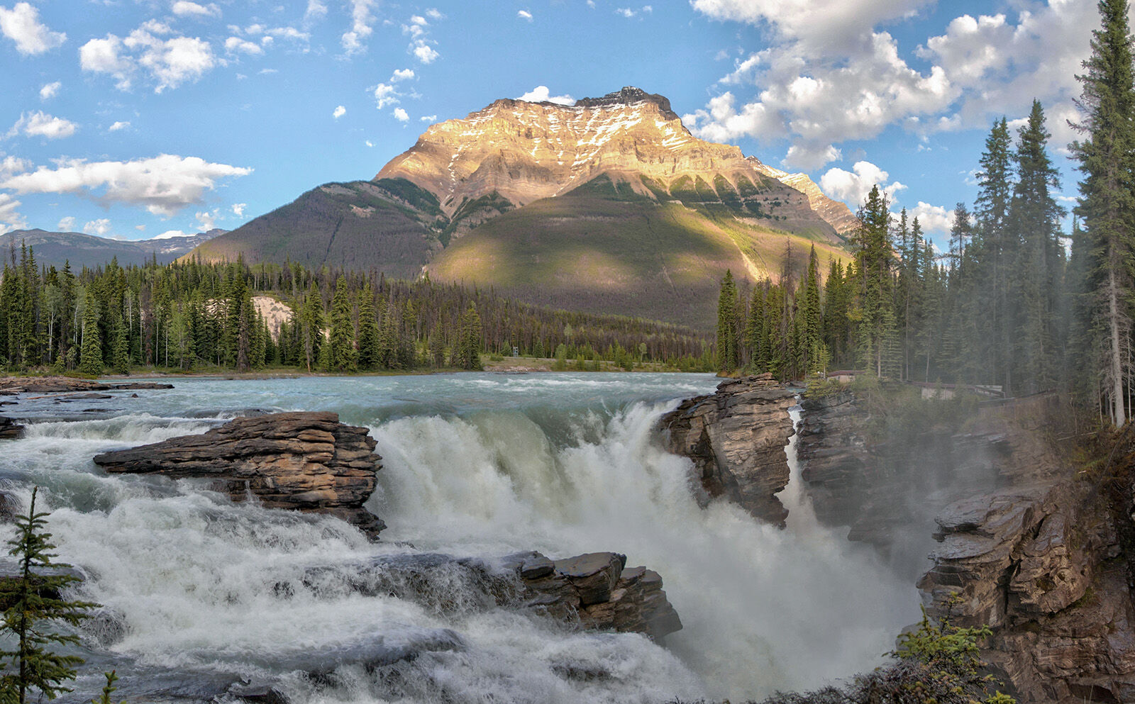 Athabasca Falls thundering through sculpted rock formations, Jasper National Park, Canadian Rockies.