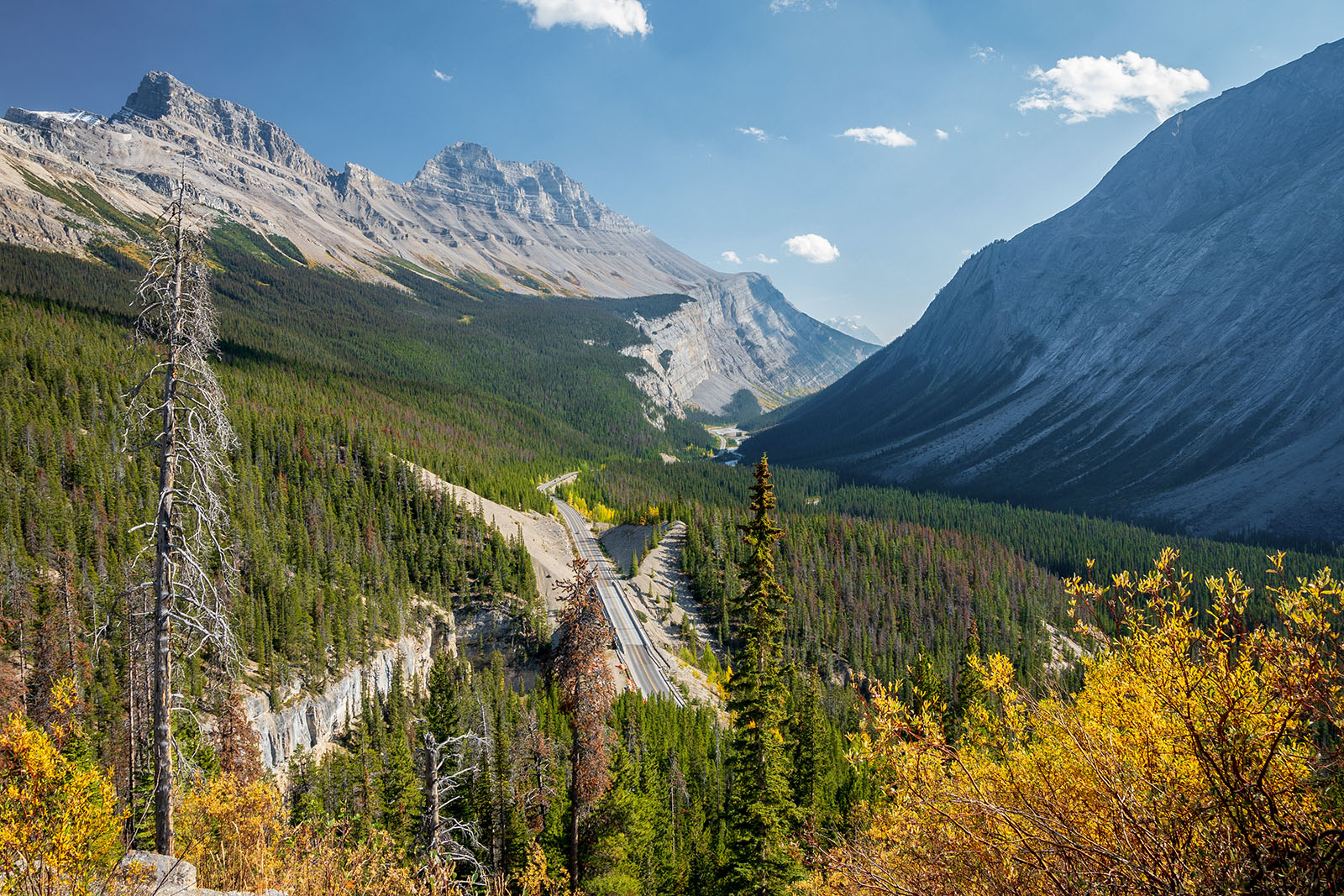Big Bend viewpoint showing a sweeping view of the Icefields Parkway with Mount Cirrus in the distance.