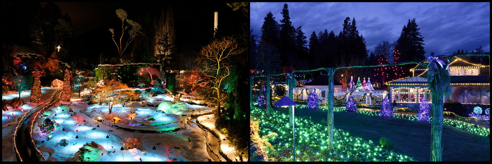 Christmas lights outdoors throughout Butchart Gardens.