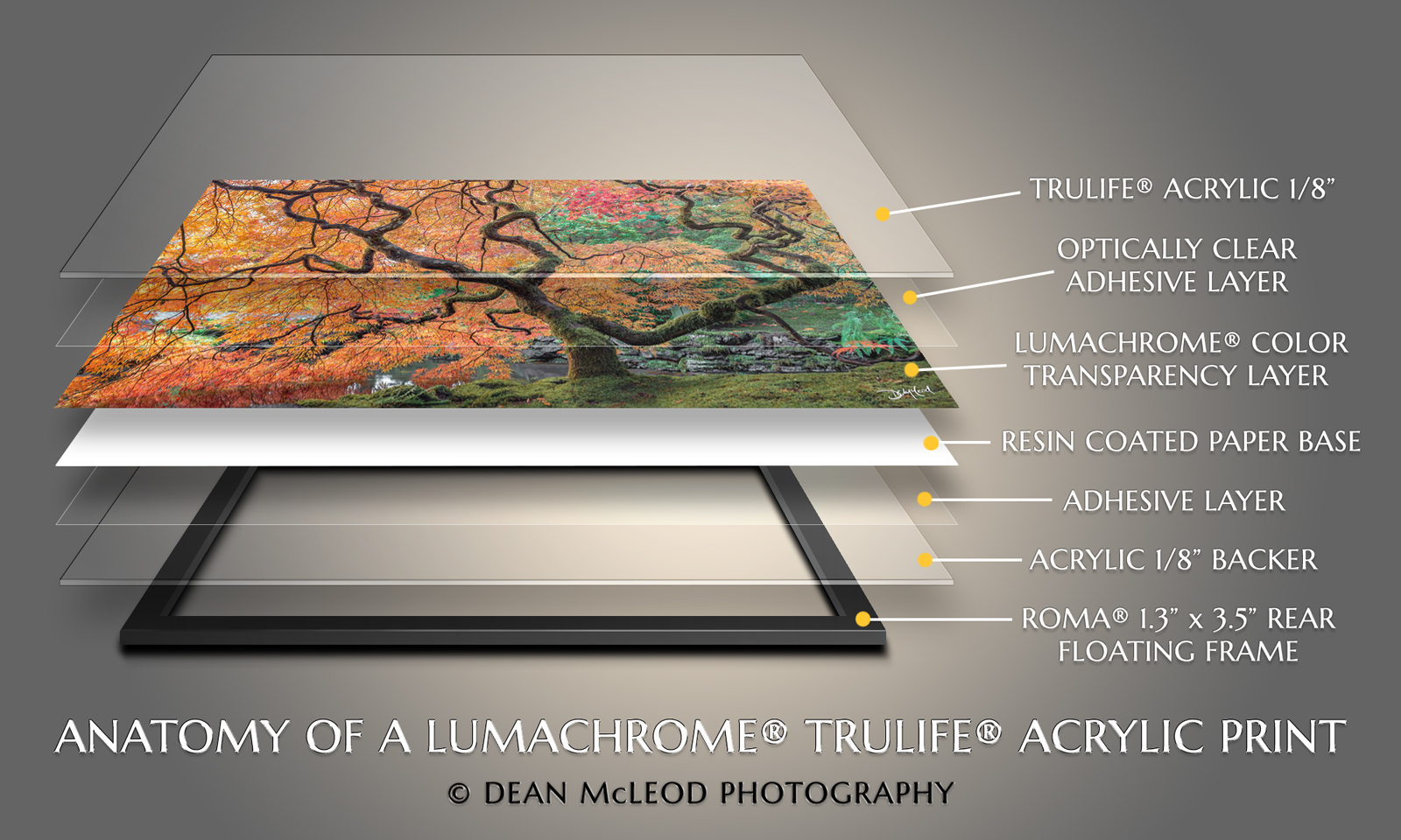 Infographic illustrating the multi-layered design of a Lumachrom TruLife acrylic print.