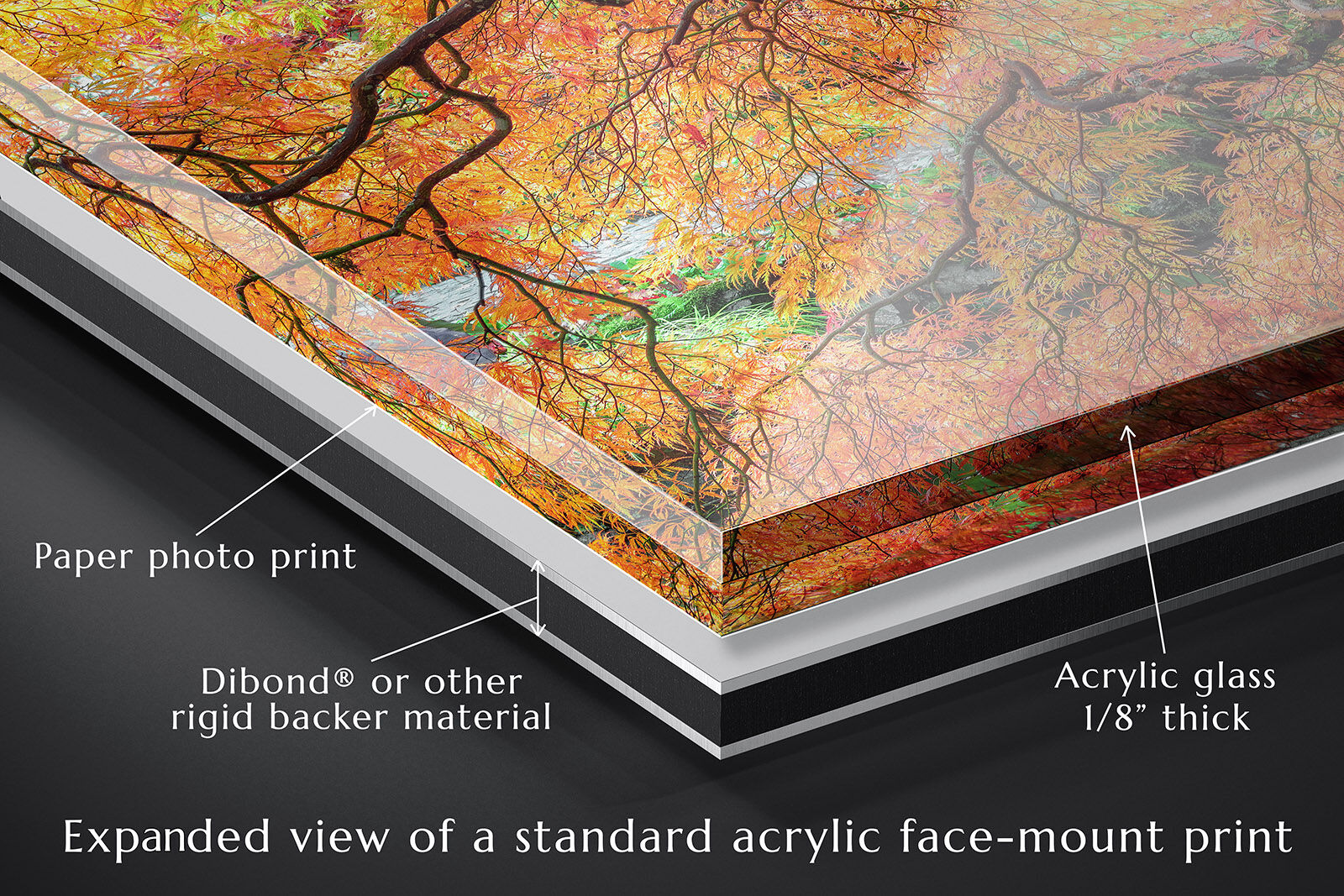 An expanded closeup corner detail view of an acrylic face mount photography print illustrating each layer in its construction.