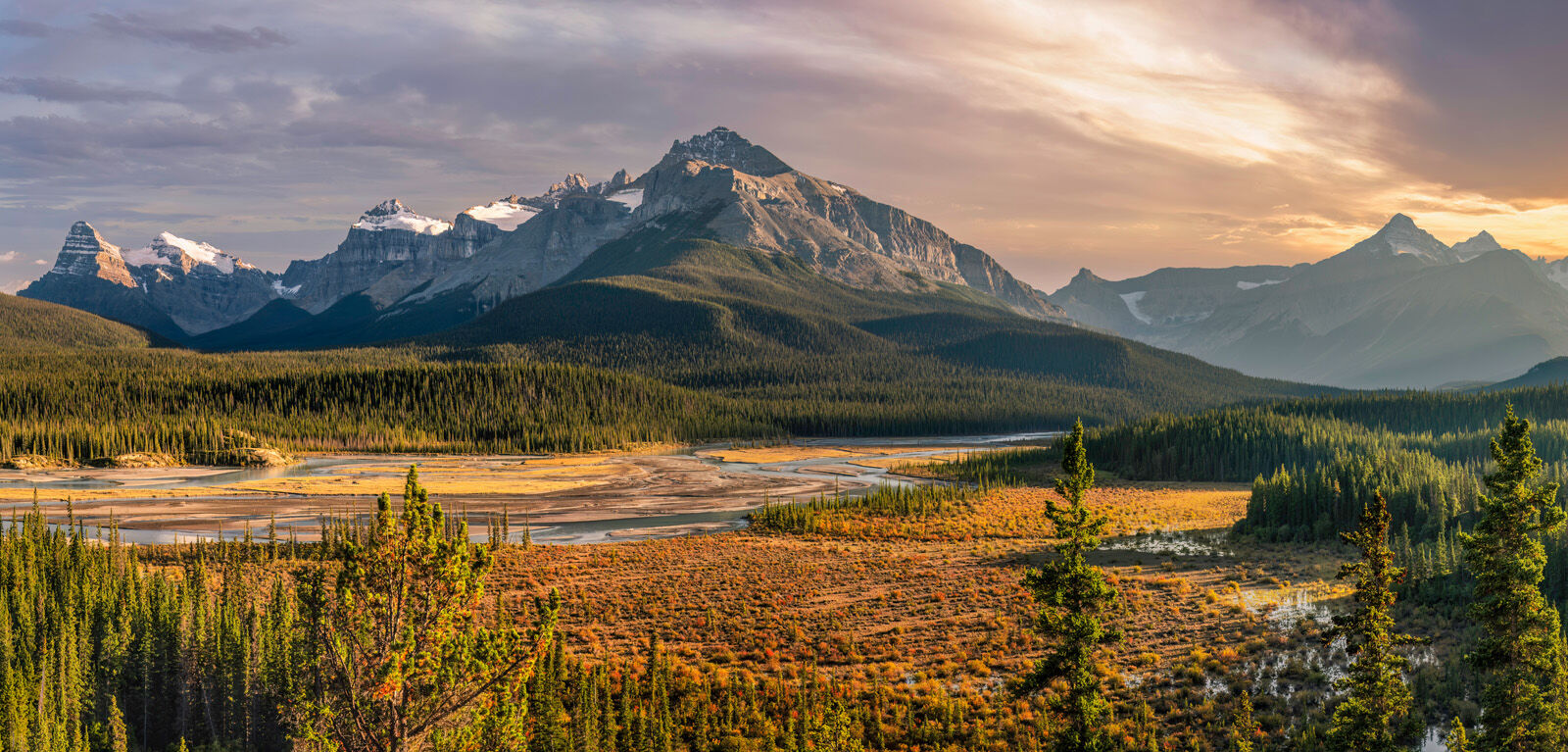 Wide valley panorama at Saskatchewan River Crossing with braided rivers and mountain peaks, Icefields Parkway.