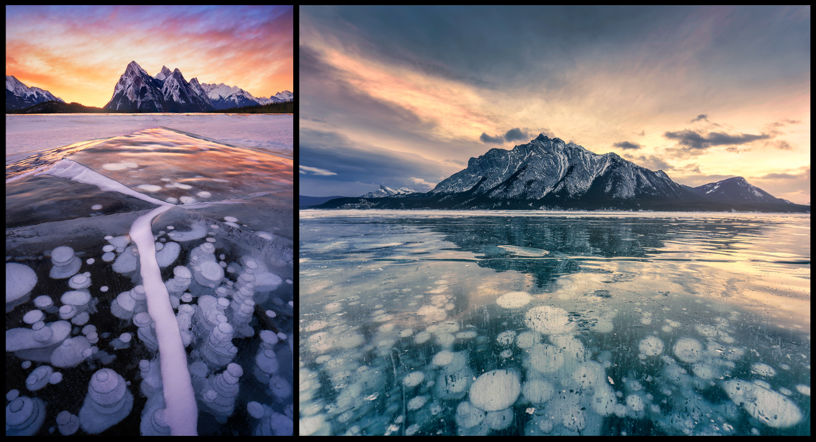 Frozen methane ice bubbles trapped beneath clear ice at Abraham Lake with mountain backdrop, winter in Alberta.