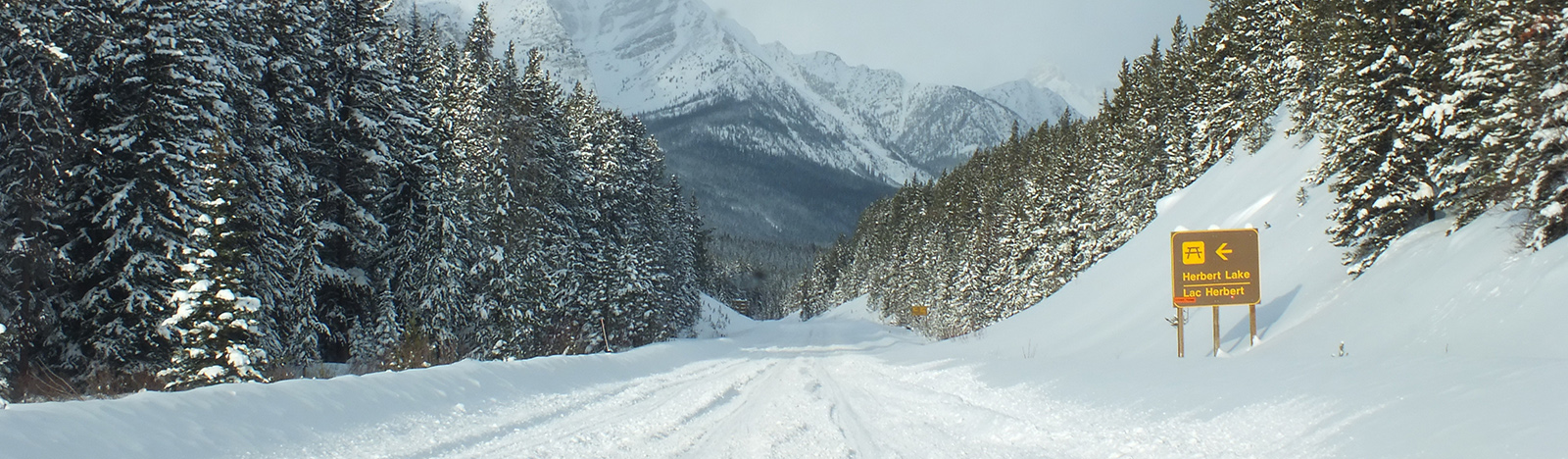 Snow-covered roadway in winter on the Icefields Parkway in Banff National Park.