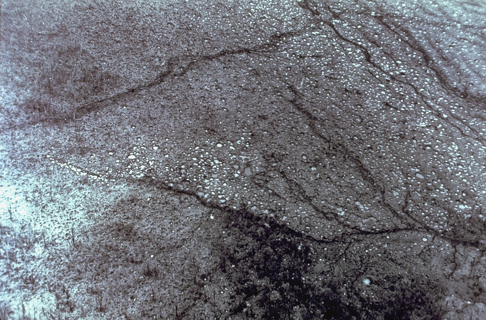 Aerial view of the impact crater field of the July 29, 1968 eruption of Arenal volcano on the west flank near Pueblo Nuevo.