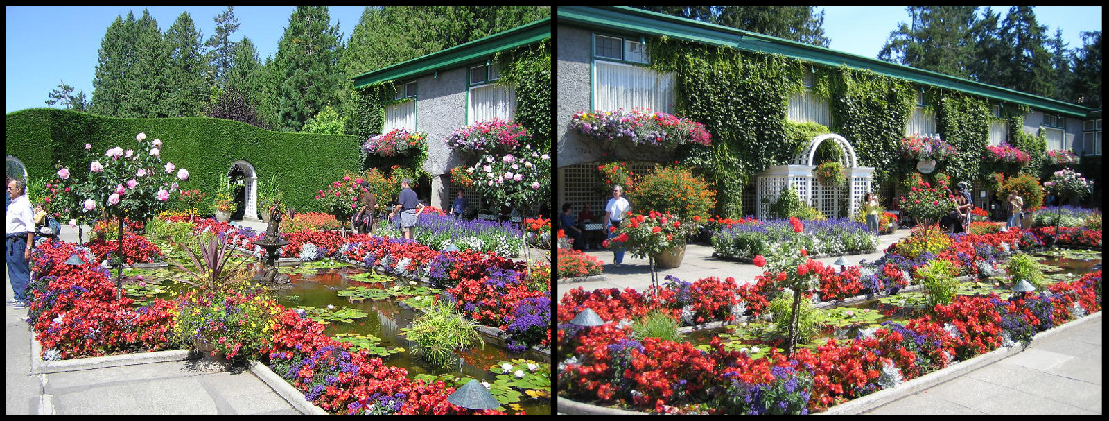 The Italian Garden at Butchart Gardens.