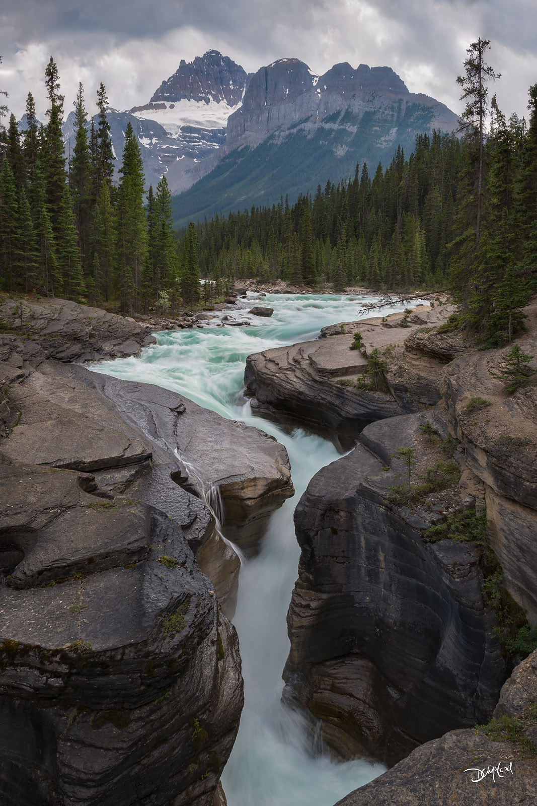 Mistaya Canyon with powerful turquoise water carving through limestone rock formations, Banff National Park.