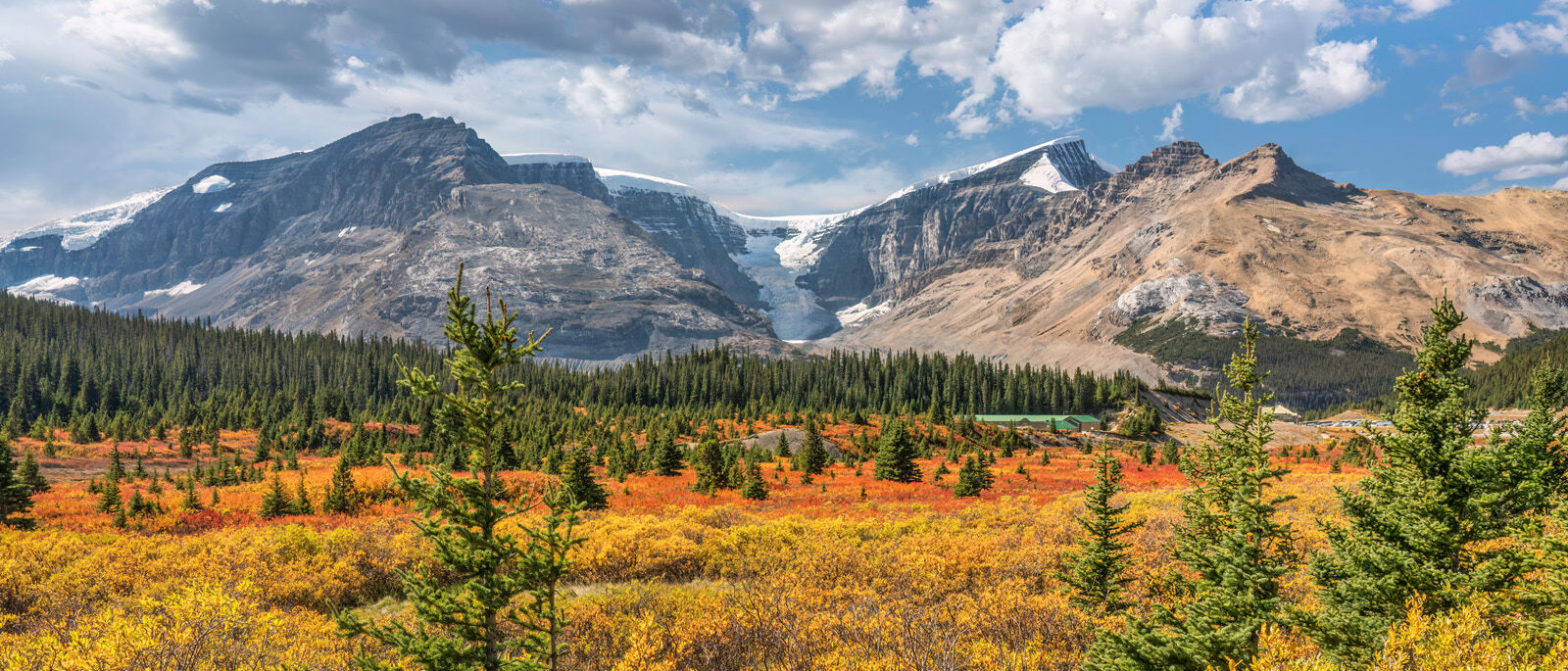 View of Mount Kitchener and glacier from the Columbia Icefield campground entrance.