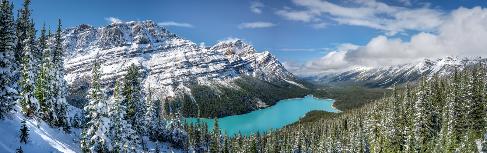 The turquoise waters of Peyto Lake during shoulder season after an early snowfall in Banff National Park.