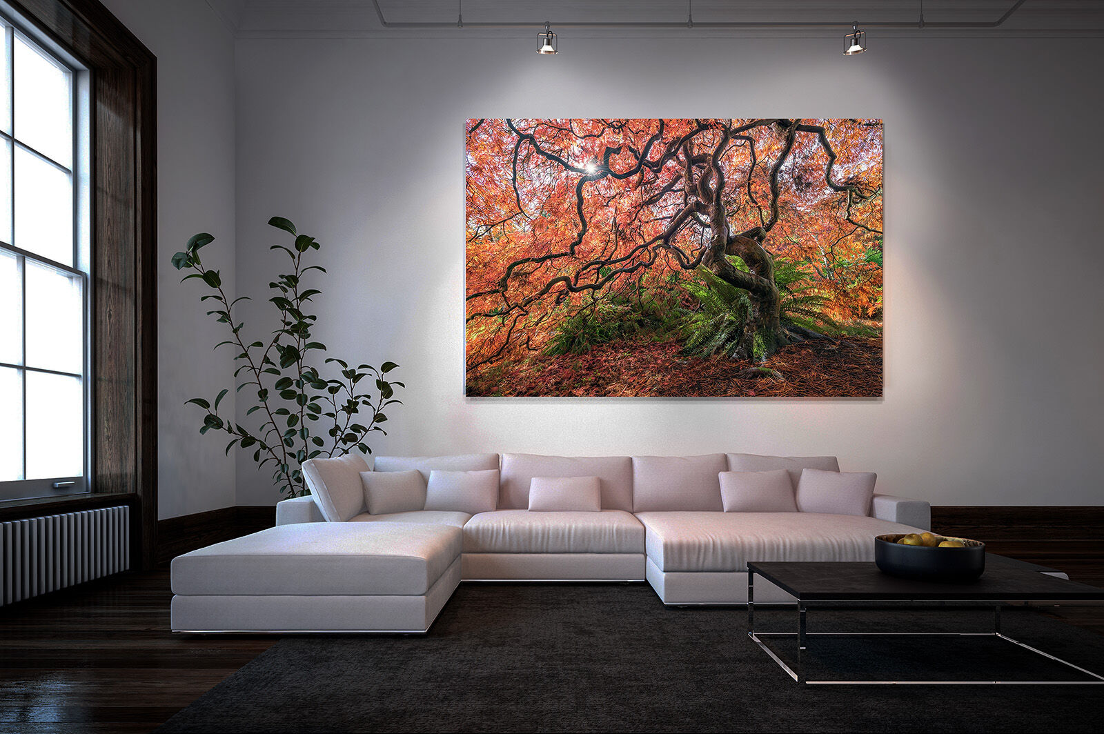 A very large photographic print of a tree hangs on the wall of a minimalist living room with a white sofa.