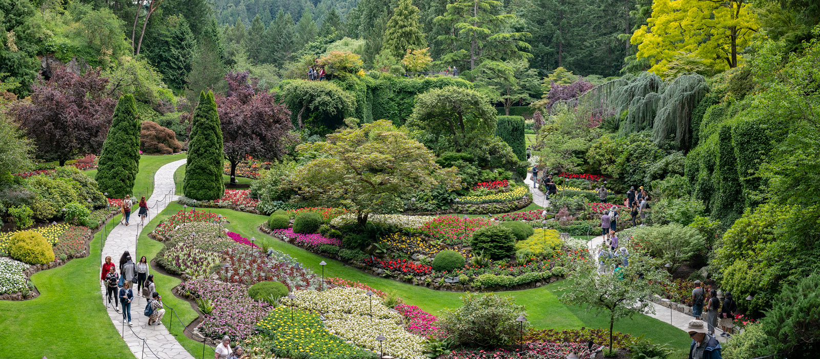 A panorama of the Sunken Garden at Butchart Gardens in June.