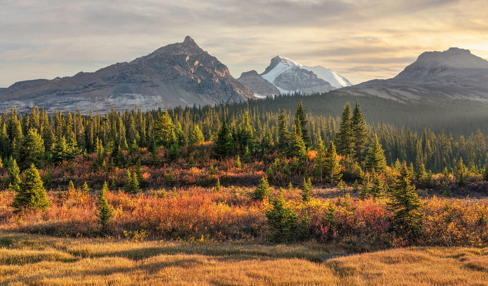 Sunwapta Pass in autumn with golden tundra, mountain peaks, and long shadows along the Icefields Parkway.