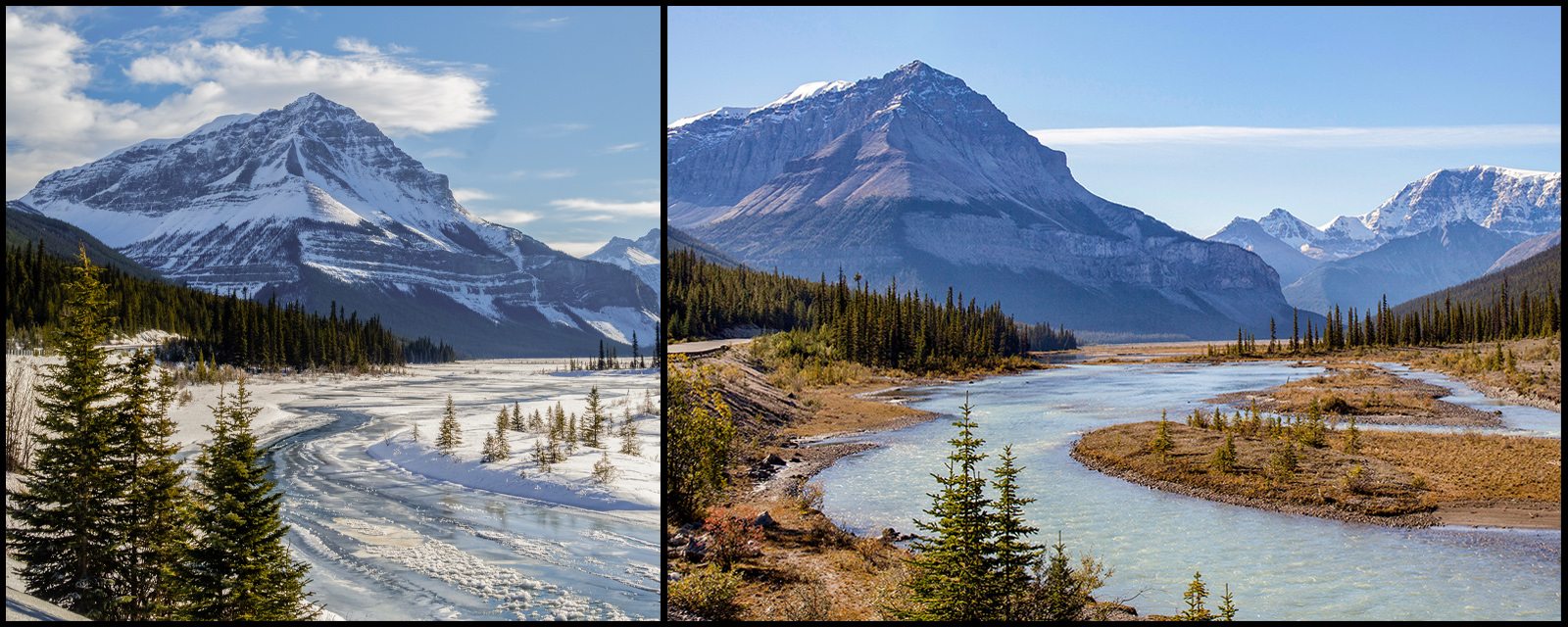 Sunwapta River valley viewpoint in morning with Tangle Ridge, Jasper National Park.
