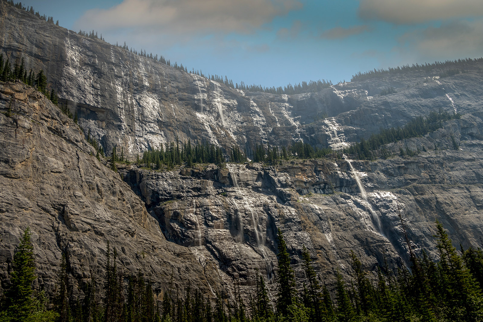 Weeping Wall waterfall flowing down sheer cliffs beside the Icefields Parkway during spring snowmelt.