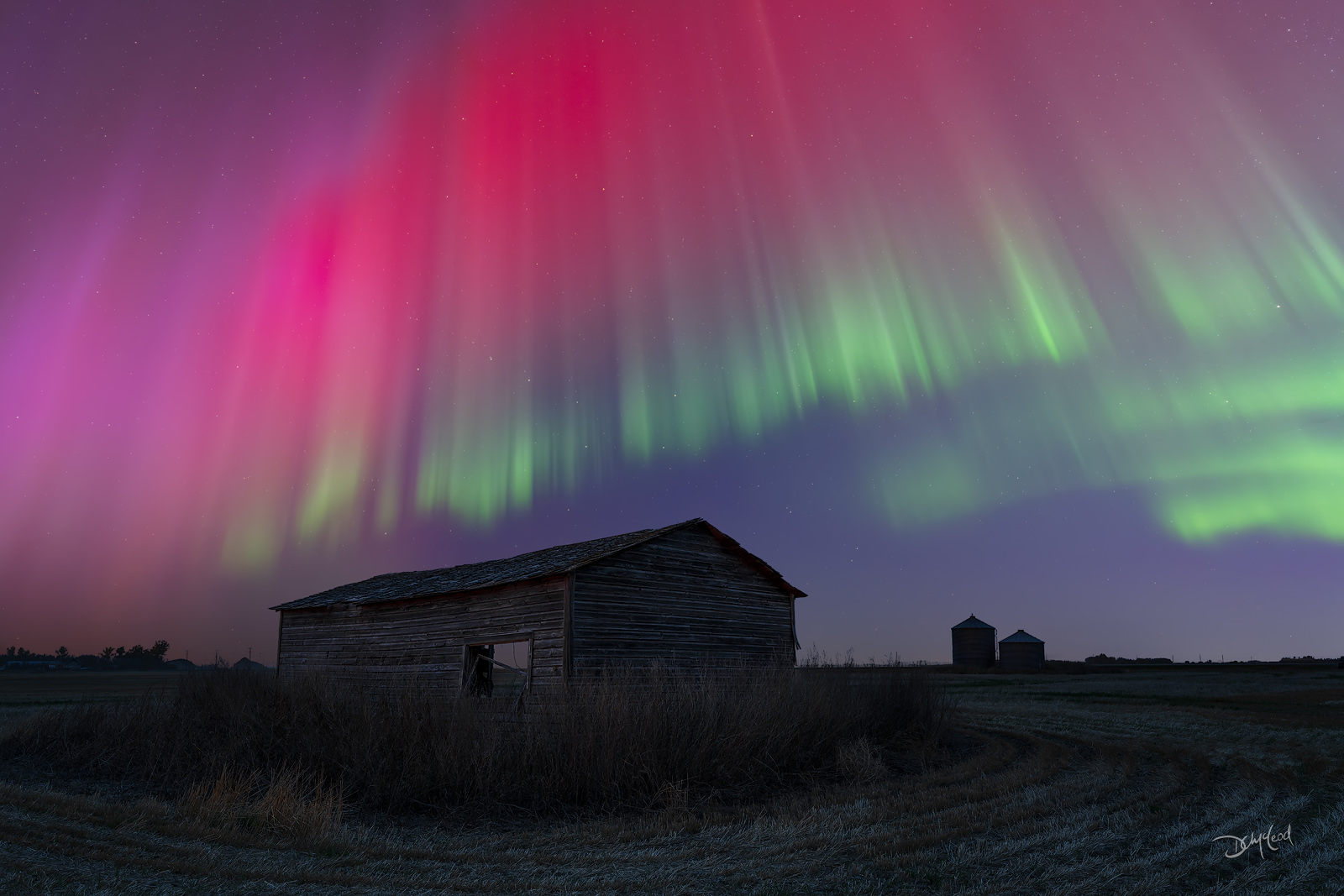 Pink, red, and green aurora borealis dance in the sky over an old farm building in Saskatchewan.