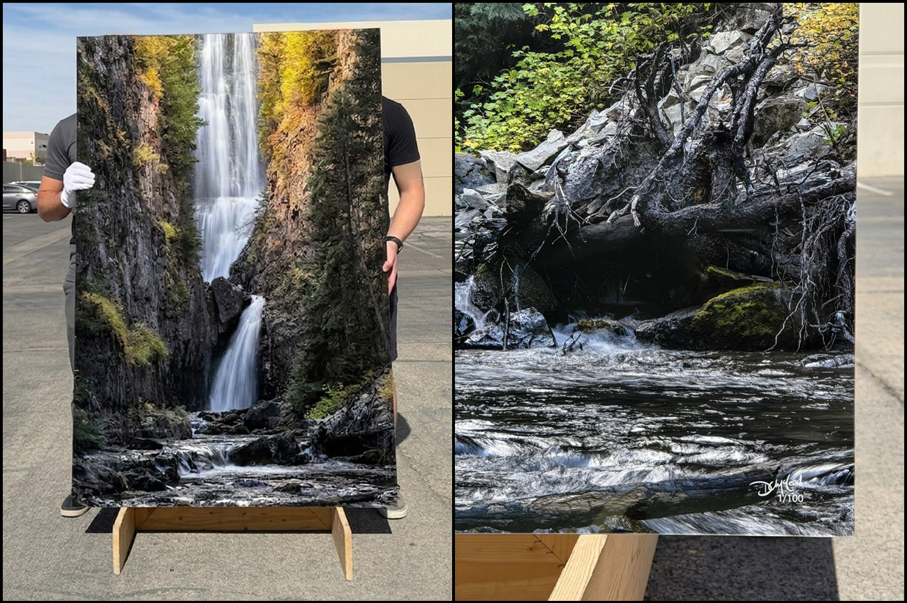 40×60-inch Lumachrome® acrylic print with enlarged detail showing exceptional image clarity and fine detail.