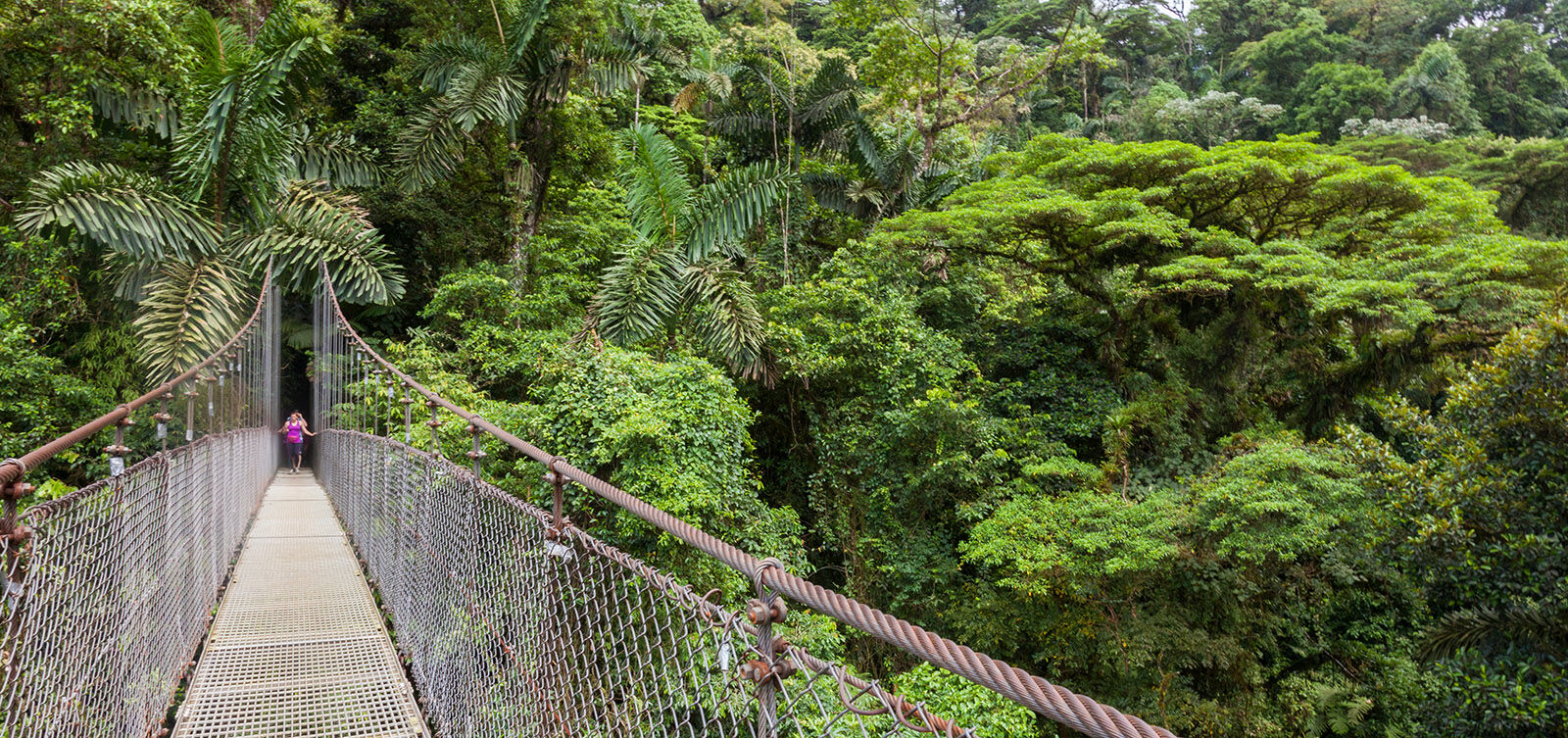 A hanging bridge in Mistico Hanging Bridges Park near Arenal Volcano in Costa Rica.