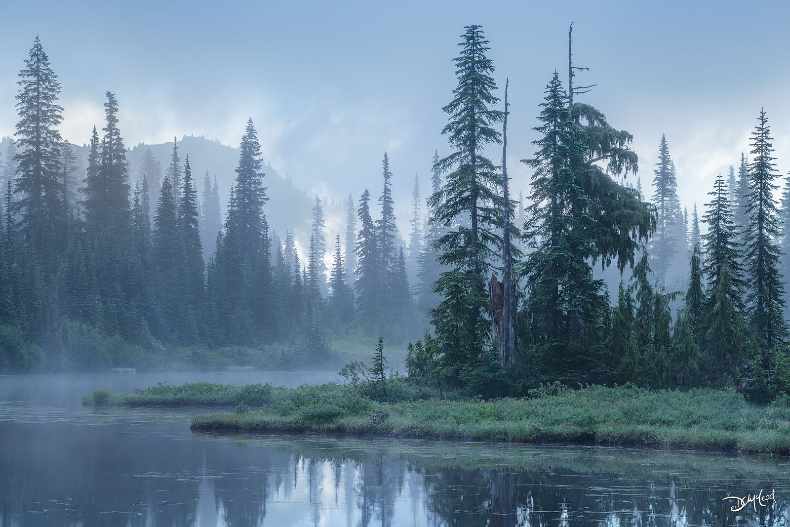 Foggy Reflection Lake in Mount Rainier National Park with trees and still water, fine art landscape photography print.