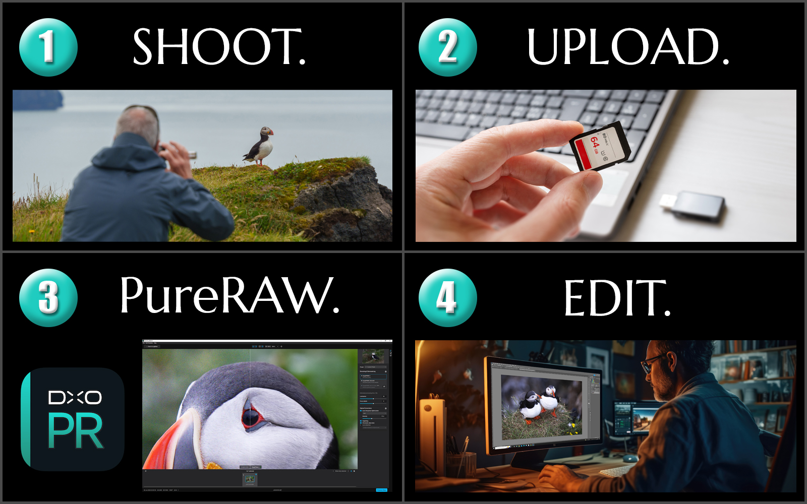 Infographic showing a four step process for photography of shooting, uploading, using DxO PureRAW 5 noise reduction, and editing.